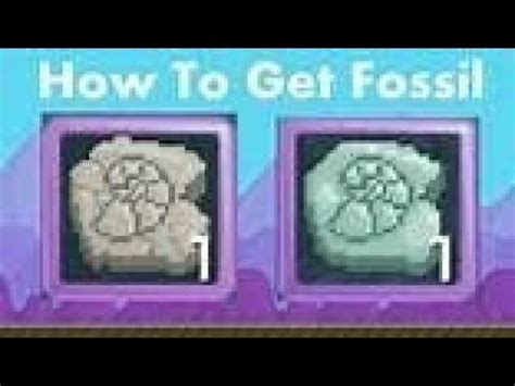 polished fossil growtopia|How to make a fossil and polish it .